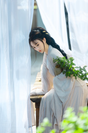 狗配少女大人50集 界面截图